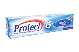 Protect Gum Care Tooth Paste 110g