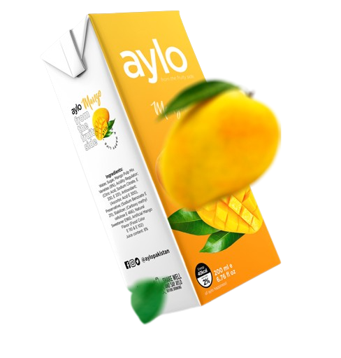 Aylo Mango Fruit Drink 200ml